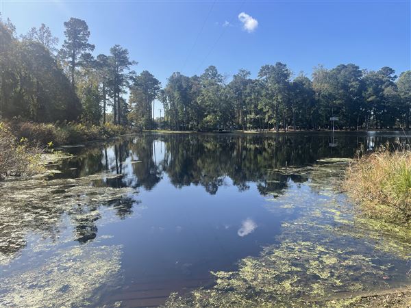 Pender Lake