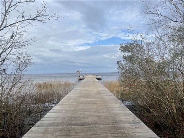 Lake Waccamaw State Park